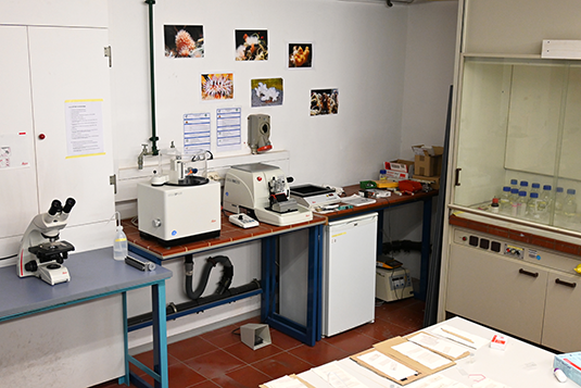 Histology lab