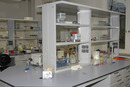 The Research Lab