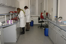 Electrophoresis room